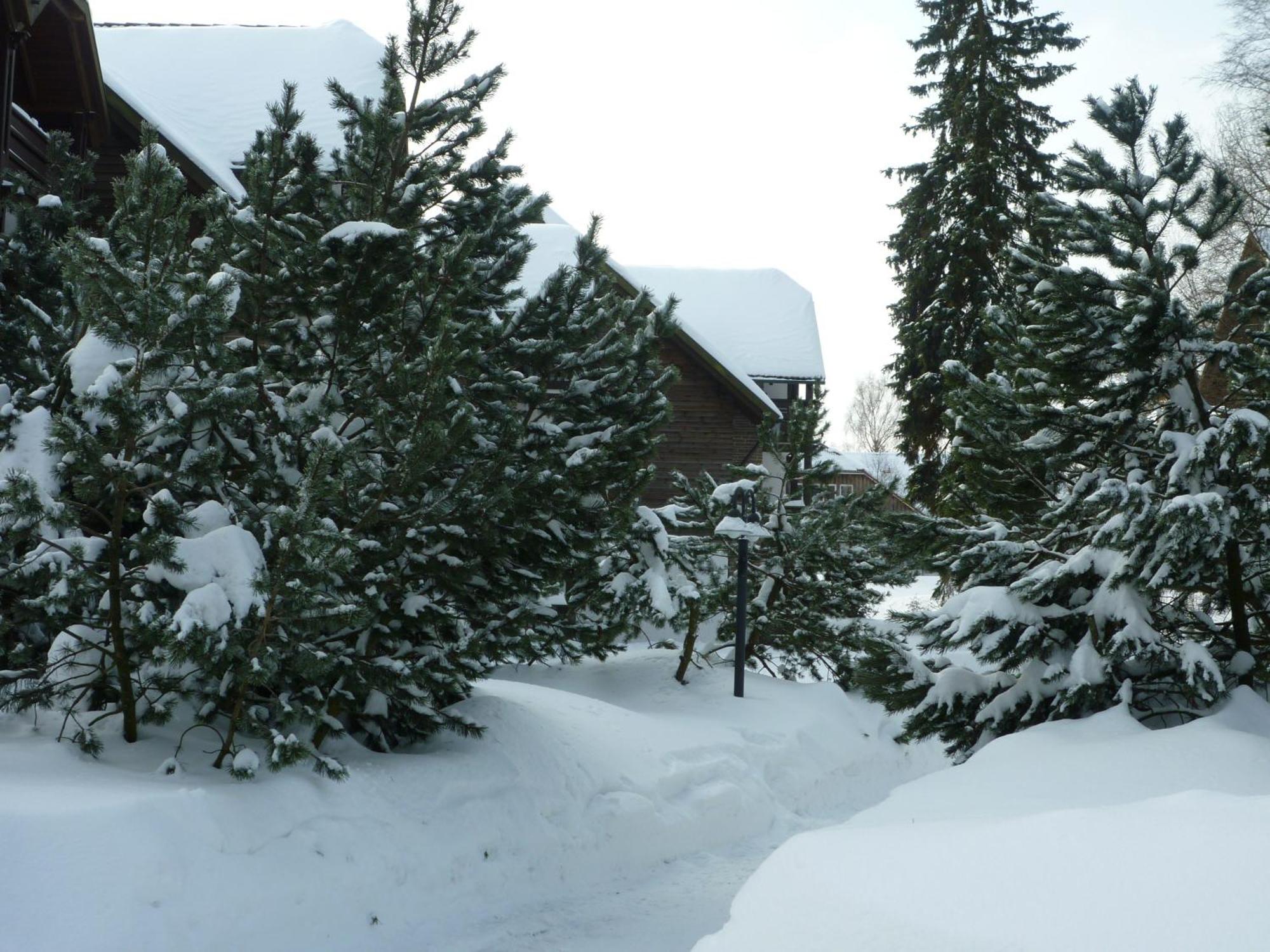 Hapimag Ferienwohnungen Braunlage Esterno foto